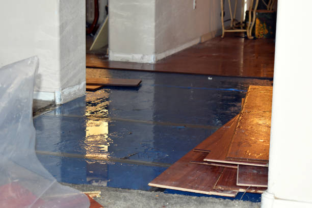 Professional Water Extraction technician working in Parkman, OH